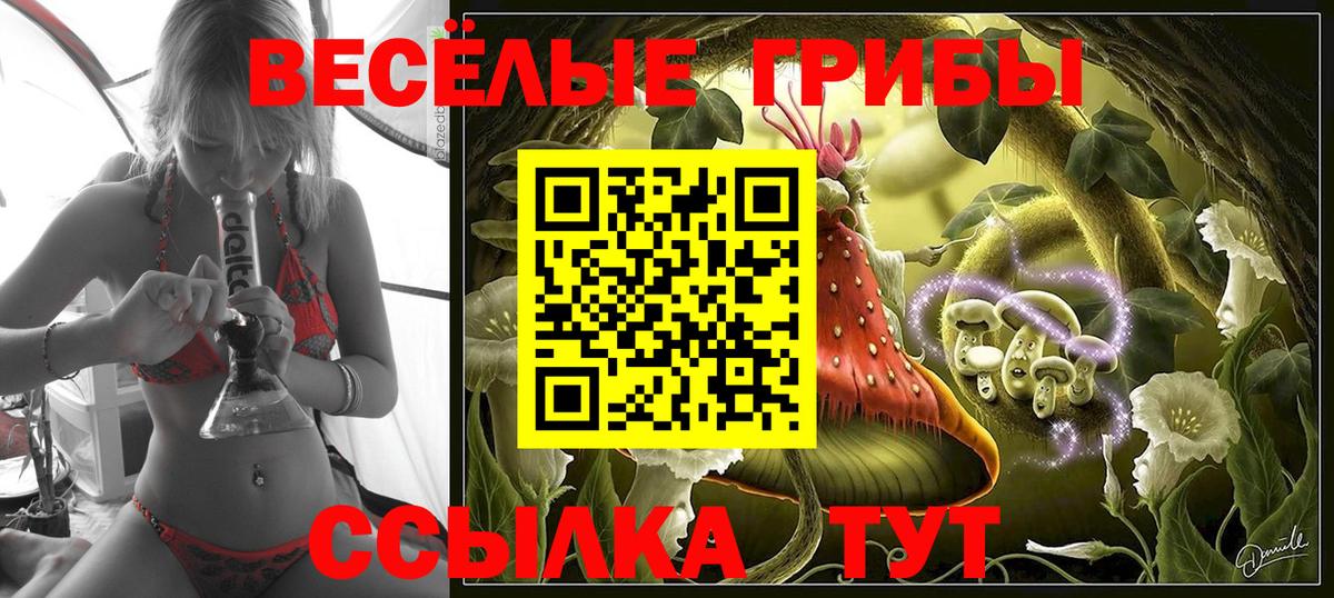 Павлово  Галлюциногенные грибы мицелий  Вход с VPN  Псилоцибиновые грибы GOLDEN TEACHER 